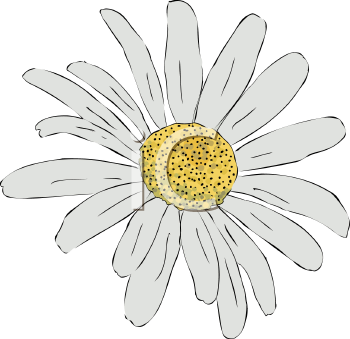 Flower Clipart