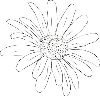 Flower Clipart