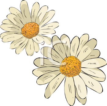 Flower Clipart