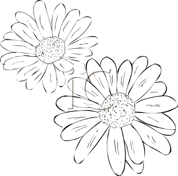 Flower Clipart
