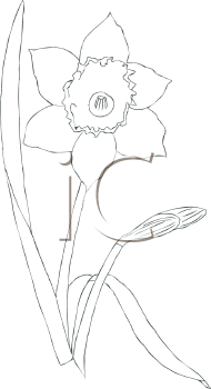 Flower Clipart