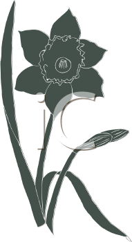 Flower Clipart