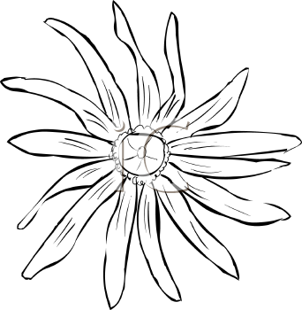 Flower Clipart