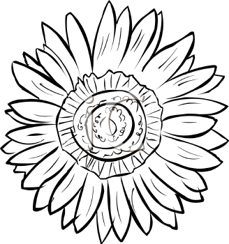 Flower Clipart