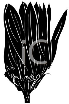 Flower Clipart