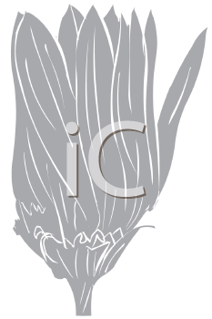 Flower Clipart