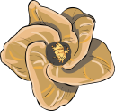 Flower Clipart