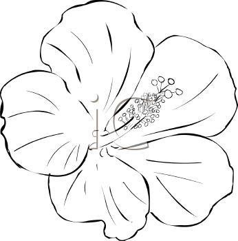 Flower Clipart