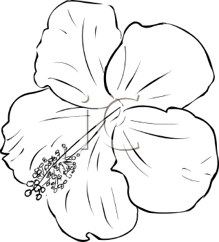 Flower Clipart