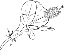 Flower Clipart