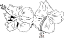 Flower Clipart