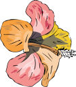 Flower Clipart