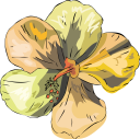 Flower Clipart