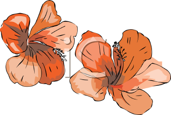 Flower Clipart