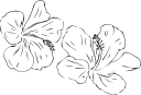 Flower Clipart