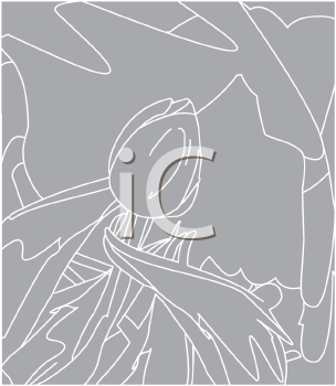 Flower Clipart