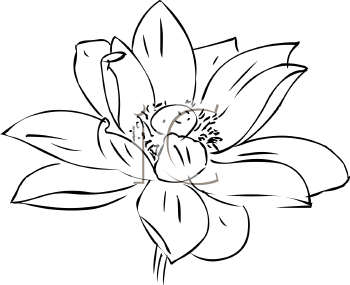 Flower Clipart