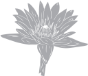 Flower Clipart
