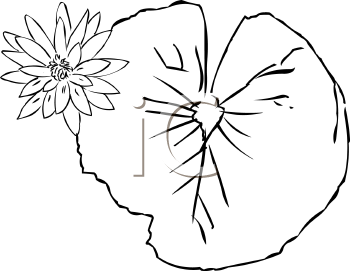 Flower Clipart