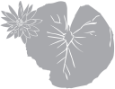 Flower Clipart