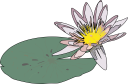 Flower Clipart