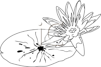 Flower Clipart