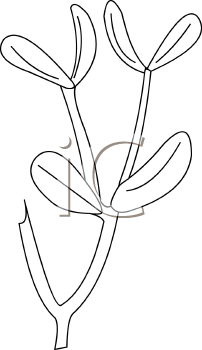 Plant Clipart
