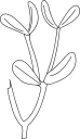 Plant Clipart
