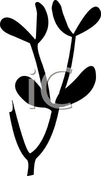 Plant Clipart