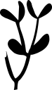 Plant Clipart