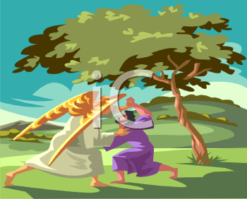 Sport Clipart