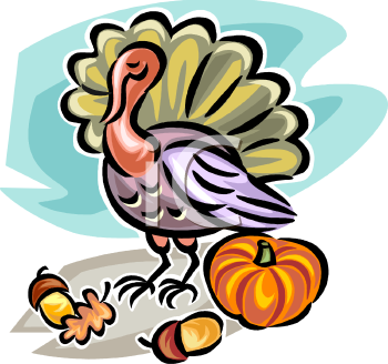 Bird Clipart