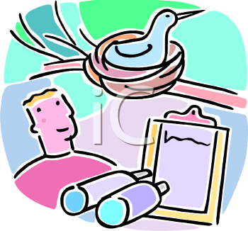 Bird Clipart