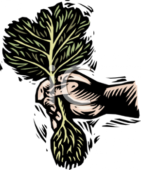 Food Clipart