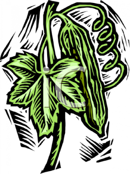 Food Clipart