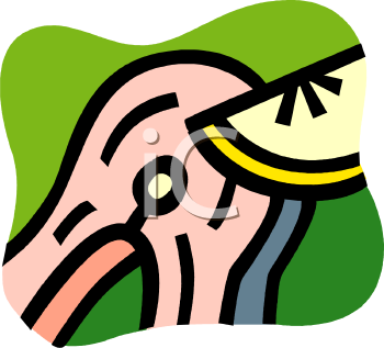 Food Clipart