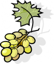 Food Clipart