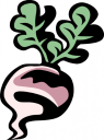 Food Clipart