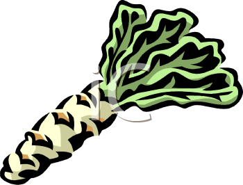 Food Clipart