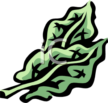 Food Clipart