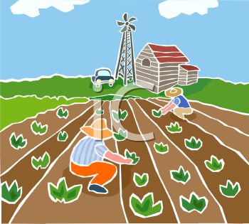 Farm Buildings Clipart