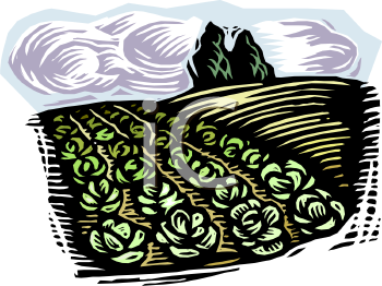 Farm Buildings Clipart