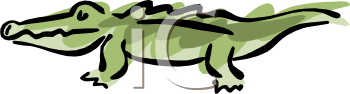 Reptile Clipart