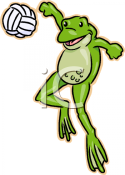 Amphibians Clipart