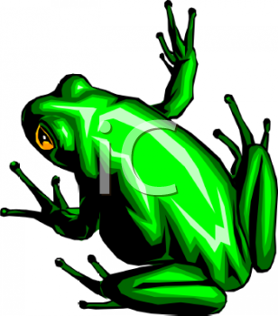 Amphibians Clipart