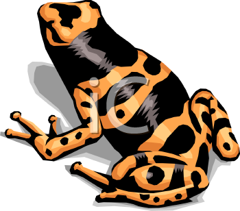 Amphibians Clipart
