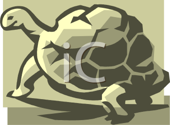 Lizard Clipart