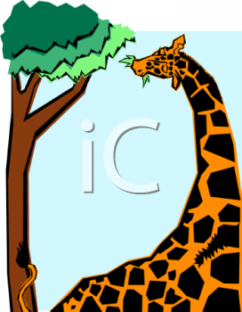 Animal Clipart