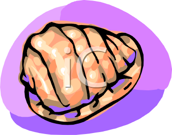 Mollusk Clipart
