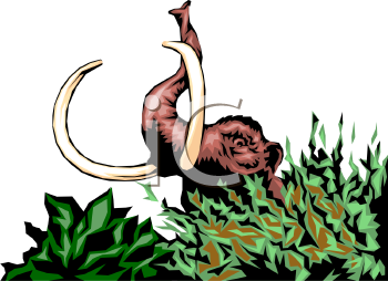 Lizard Clipart